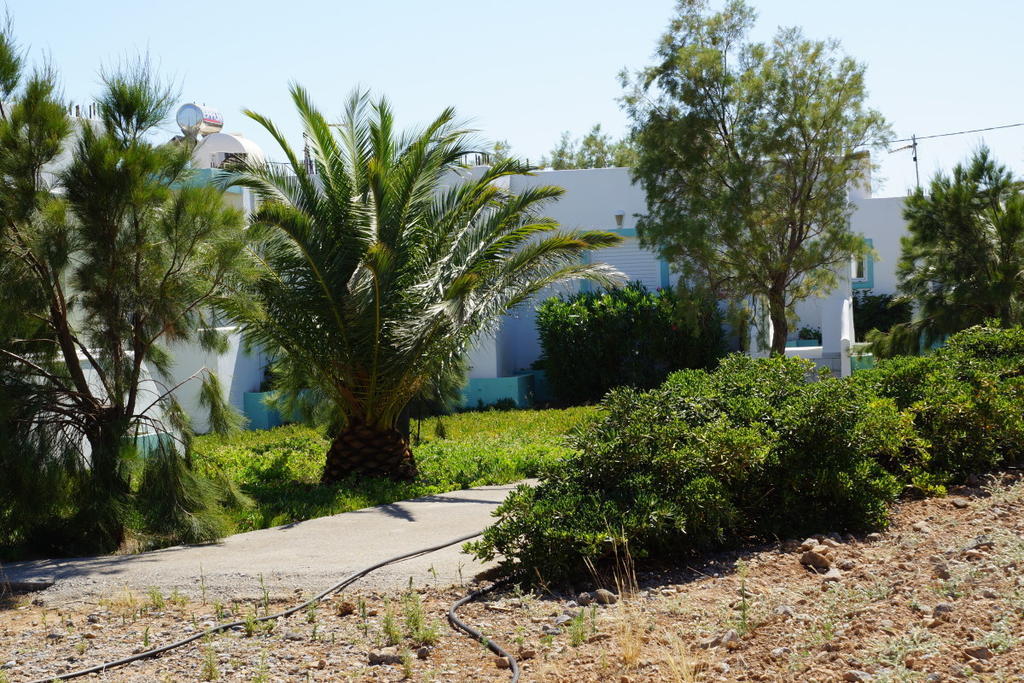 Notos Villas Frangokastello Quarto foto